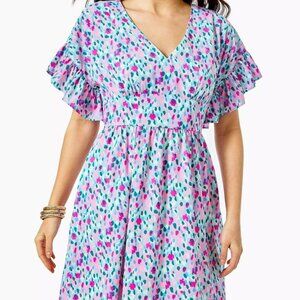 EUC - Lilly Pulitzer Dress - Size 6